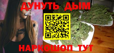 гидра Кингисепп