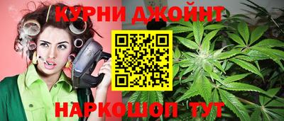молекула духа Камышлов