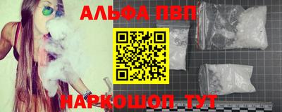 молекула духа Камышлов