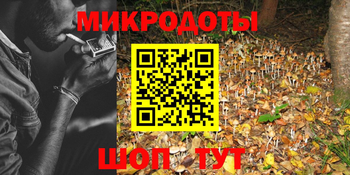 Куйбышев  Псилоцибиновые грибы прущие грибы  Вход с VPN  Псилоцибиновые грибы GOLDEN TEACHER 